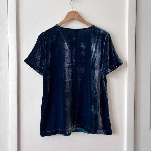 Sundance Briella V-Neck Velvet Silk Blend Babydoll Top - Picture 5 of 6